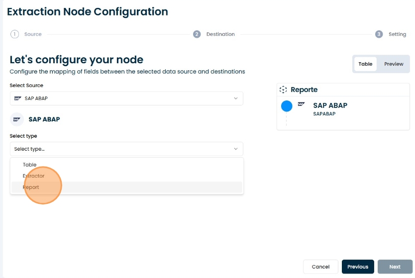 Report extraction type selection